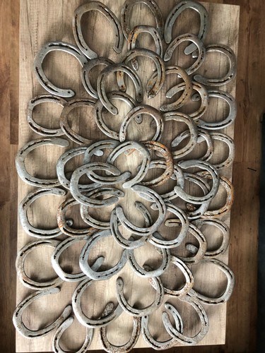 Hufeisen für - 30,