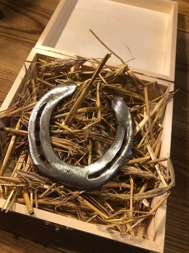 Hufeisen mit geschenkbox - hufeisen,