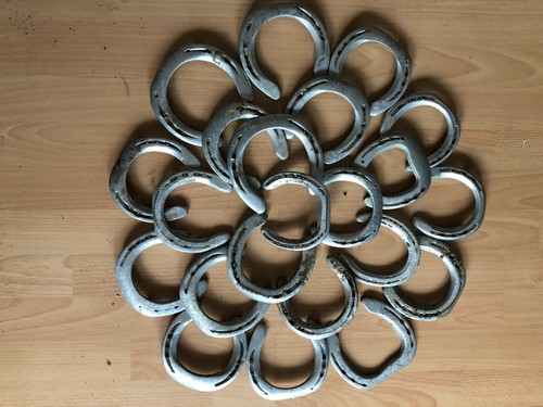 Hufeisen für - 20,