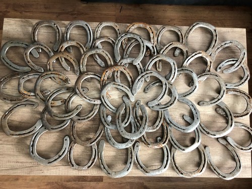 100 hufeisen für - hufeisen,
